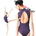 Open Back High Neck Lace Dancewear Ballet Leotard